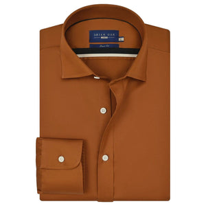 Men's Light Brown Satin Dress Shirt - Brian Oak - 1