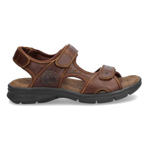 Herrensandalen Salton Basics C4 Offene Zehe Leder Sommerschuhe - Panama Jack - 1